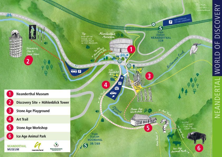 Visit The Neanderthal Museum A Member Of Ice Age Europe Network Of   Map Showing The Location Of The Neanderthal Museum And The Neandertal World Of Discovery. © Neanderthal Museum 6e0b155a 